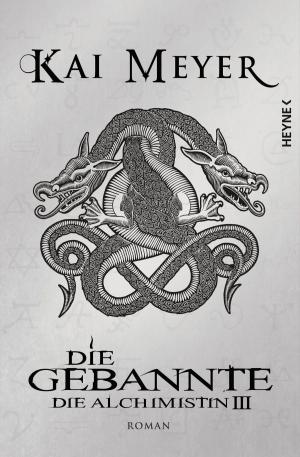 Cover of the book Die Gebannte by Dan Simmons