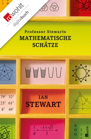 Cover of the book Professor Stewarts mathematische Schätze by Lucy Fricke