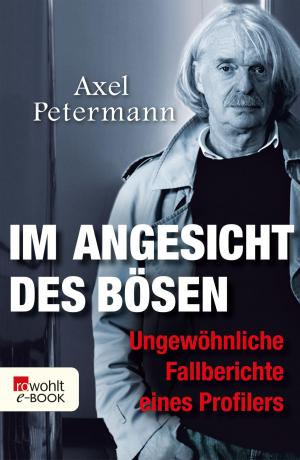 Cover of the book Im Angesicht des Bösen by Dennis Gastmann
