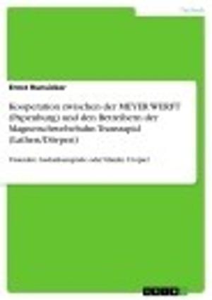 Cover of the book Kooperation zwischen der MEYER WERFT (Papenburg) und den Betreibern der Magnetschwebebahn Transrapid (Lathen/Dörpen) by Anne Urbutt