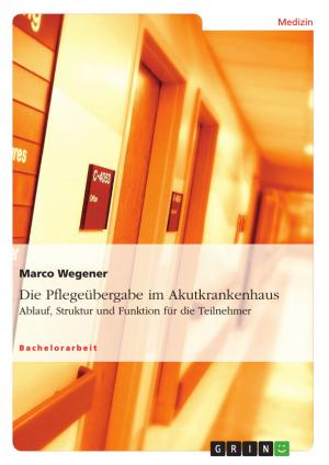 Cover of the book Die Pflegeübergabe im Akutkrankenhaus by GRIN Verlag