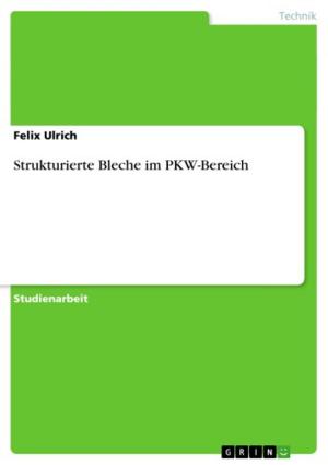 Cover of the book Strukturierte Bleche im PKW-Bereich by Stefanie Jahn