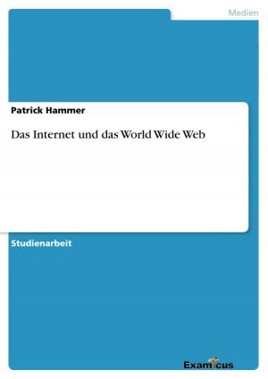 Cover of the book Das Internet und das World Wide Web by Holger Hartmann