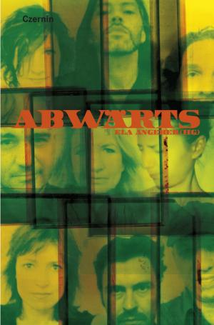 Cover of the book Abwärts by Doris Knecht