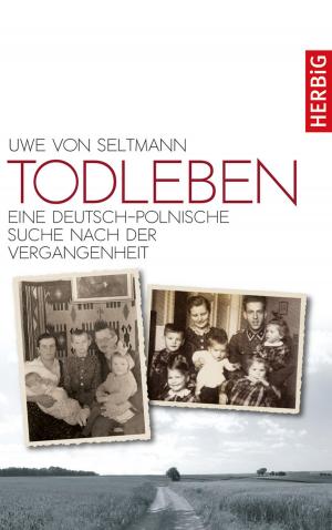 Cover of the book Todleben by Uwe Pettenberg