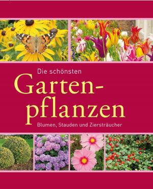 Cover of the book Die schönsten Gartenpflanzen by Annika Schlouck, Yvonne Markus