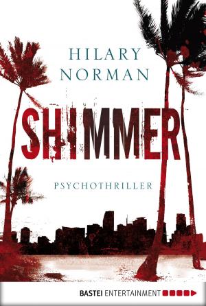Cover of the book Shimmer by Neil Richards, Matthew Costello