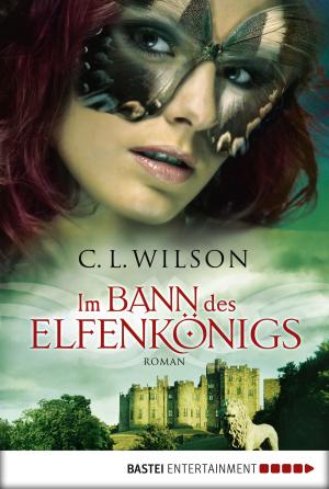 Cover of the book Im Bann des Elfenkönigs by Stefan Frank