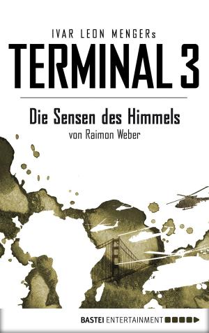 Cover of the book Terminal 3 - Folge 2 by Charlotte Vary
