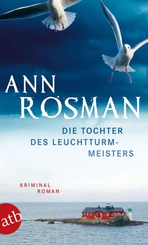 Cover of the book Die Tochter des Leuchtturmmeisters by Bruce Barber