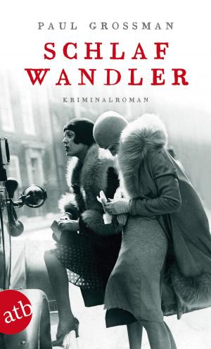Cover of the book Schlafwandler by Bernhard Jaumann