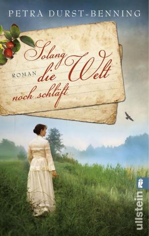 Cover of the book Solang die Welt noch schläft by Pascal Voggenhuber