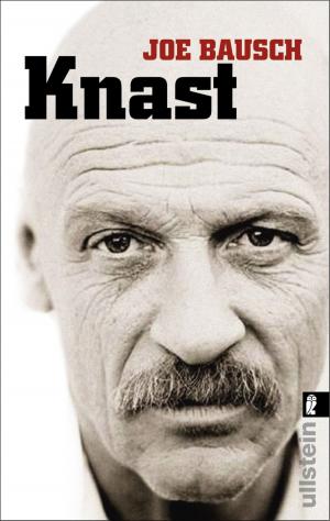 Cover of the book Knast by Oliver Bierhoff