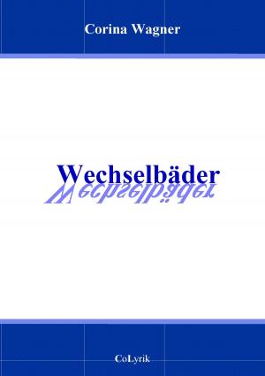 Cover of the book Wechselbäder by J J Ginty