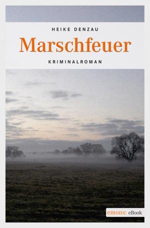 Book cover of Marschfeuer