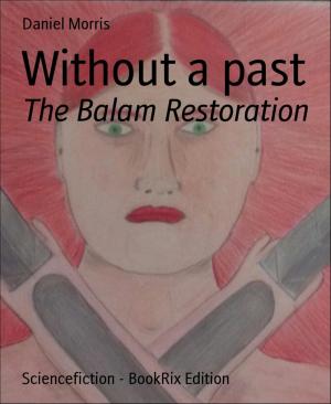 Book cover of Without a past