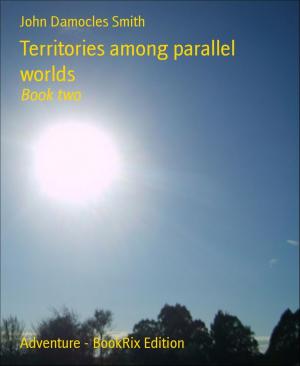 Cover of the book Territories among parallel worlds by Sophie Wörishöffer