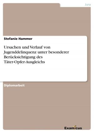 Cover of the book Ursachen und Verlauf von Jugenddelinquenz unter besonderer Berücksichtigung des Täter-Opfer-Ausgleichs by Tilmann Wörner