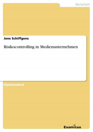 Cover of the book Risikocontrolling in Medienunternehmen by Lars Kirchhoff