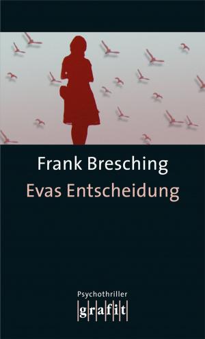 Cover of the book Evas Entscheidung by Jan Zweyer