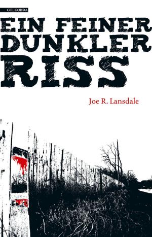 Cover of the book Ein feiner dunkler Riss by Joe R. Lansdale