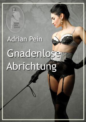 Cover of the book Gnadenlose Abrichtung by Carola Kickers