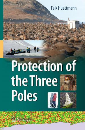 Cover of the book Protection of the Three Poles by Kimitaka Kaga