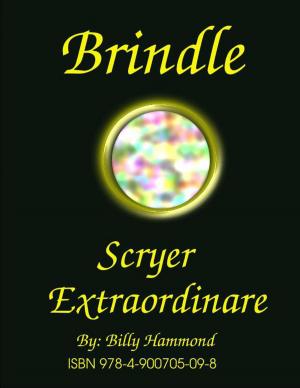 Book cover of Brindle - Scryer Extraordinaire