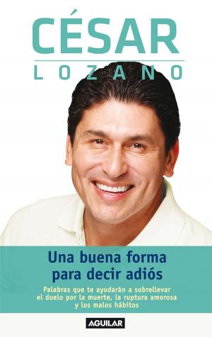 Cover of the book Una buena forma para decir adiós by Tamar Cohen
