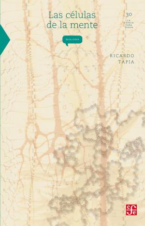 Cover of the book Las células de la mente by Antonio Jesús Ramos Revillas