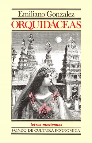 Cover of the book Orquidáceas by fray Bernardino de Sahagún