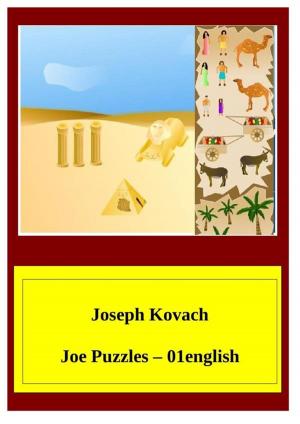 Book cover of JoePuzzles-01english