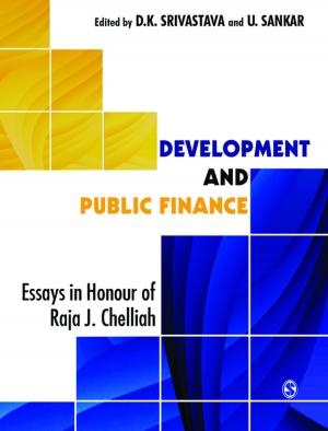 Cover of the book Development and Public Finance by Professor Bheemaiah Krishnan Ravi