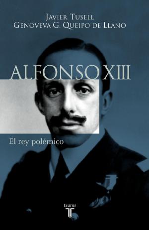 Book cover of Alfonso XIII. El rey polémico