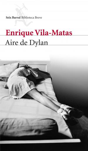 Cover of the book Aire de Dylan by Fernando Blasco, Juan Medina