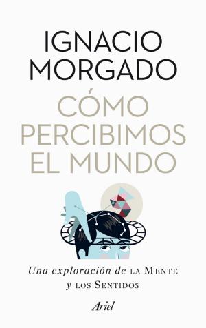 Cover of the book Cómo percibimos el mundo by Geronimo Stilton