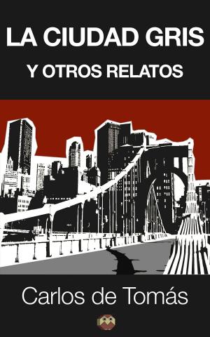 Cover of the book La ciudad gris y otros relatos by Fernando Huertas