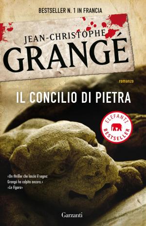 Cover of the book Il concilio di pietra by Greg Jeffrey