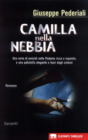 Cover of the book Camilla nella nebbia by Claudio Magris