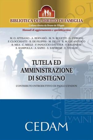 Book cover of Tutela ed amministrazione di sostegno