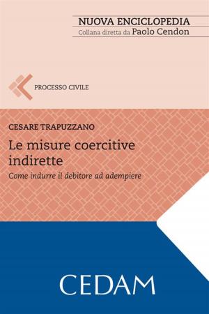 Cover of the book Le misure coercitive indirette by Francesco Galgano