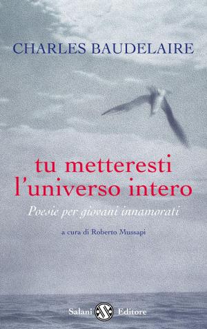 Cover of the book Tu metteresti l'universo intero by Steve Glickman