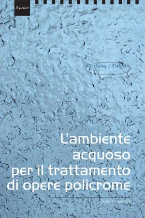 Cover of L’ambiente acquoso per il trattamento di opere policrome