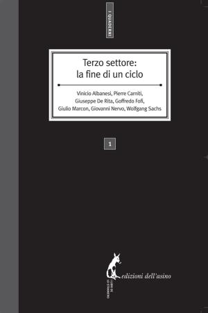 Book cover of Terzo settore: la fine di un ciclo