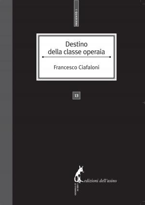 Cover of the book Destino della classe operaia by Vinicio Albanesi Pierre Carniti, Giuseppe De Rita Goffredo Fofi, Giulio Marcon Giovanni Nervo