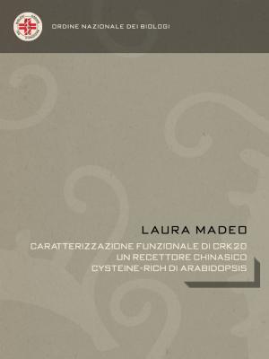 Cover of the book Caratterizzazione funzionale di CRK20, un recettore chinasico cysteine-rich di Arabidopsis by Bernardo Sorj, Mark Cantley, Karl Simpson