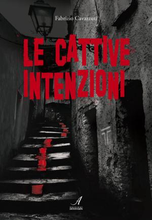 Cover of the book Le cattive intenzioni by Fabrizio Cavazzuti