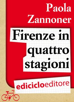 Book cover of Firenze in quattro stagioni
