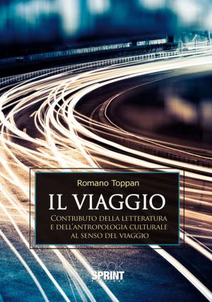 Cover of the book Il viaggio by Simona Santoro
