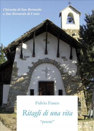 Cover of the book Ritagli di una vita by Francesco Primerano